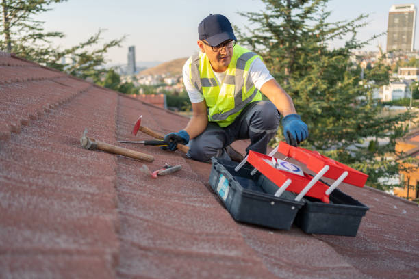 Best Storm Damage Siding Repair  in Harrison, TN